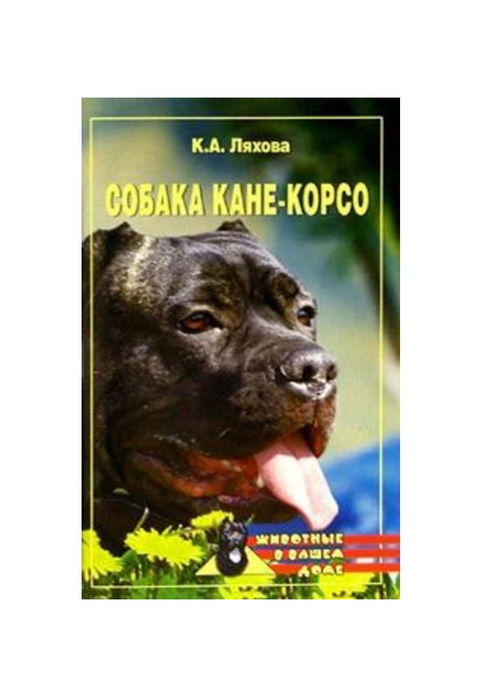 Собака Кане-Корсо