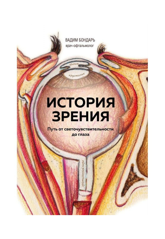 Історія зору : шлях від світлочутливості до ока