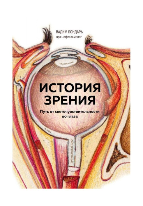 Історія зору : шлях від світлочутливості до ока