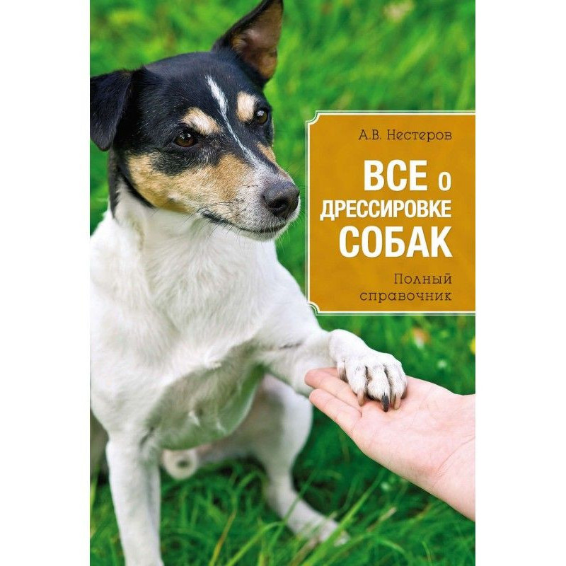 All about training of dogs