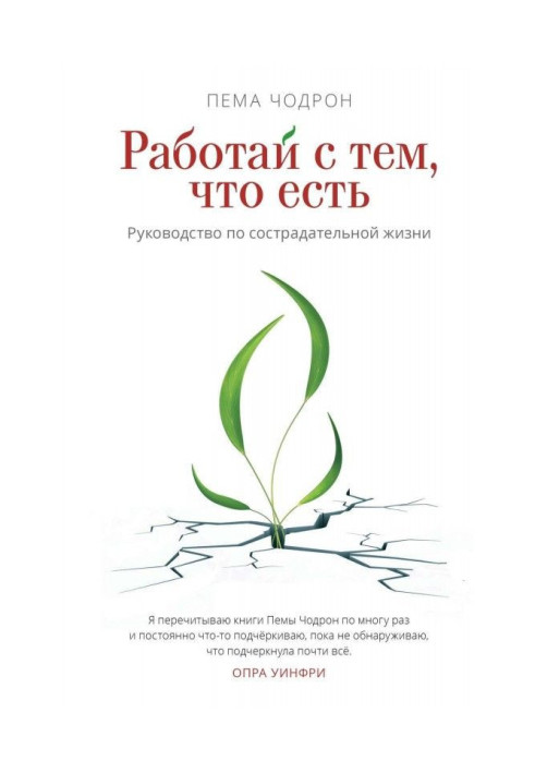 Працюй з тим, що є. Керівництво по жалісливому життю