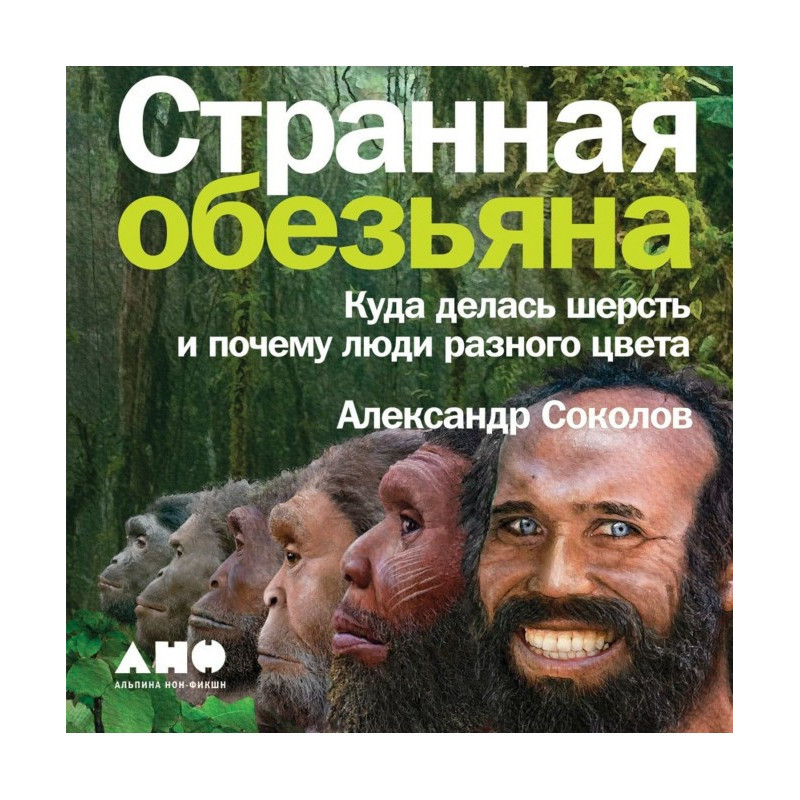 Дивна мавпа. Куди поділася...