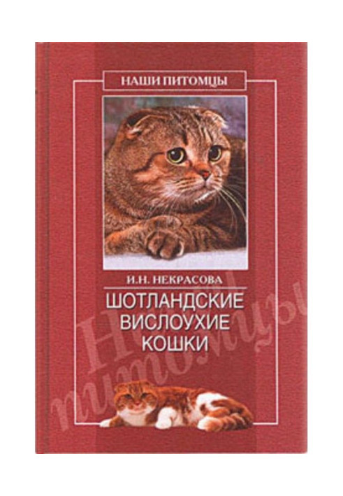 Шотландские вислоухие кошки