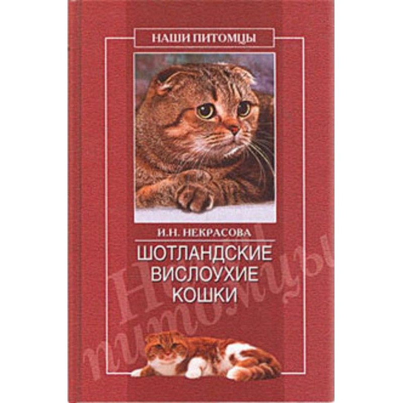 Шотландские вислоухие кошки
