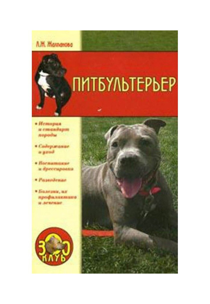 pit bull terrier