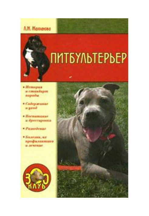 pit bull terrier