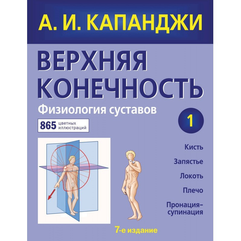 Верхня кінцівка. Фізіологія...