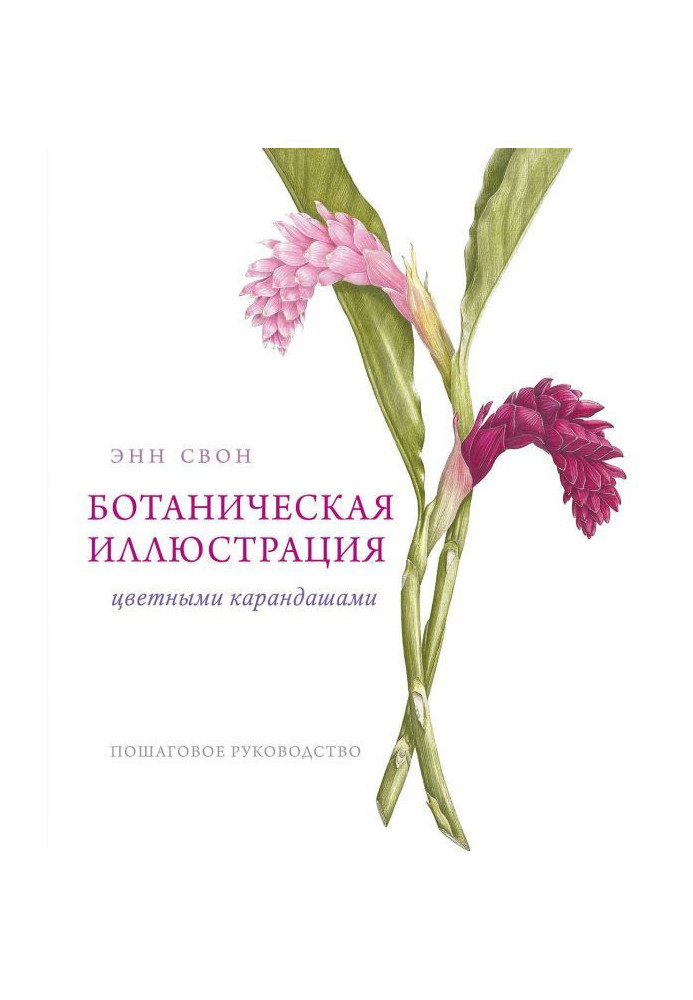 Ботанічна ілюстрація кольоровими олівцями. Покрокове керівництво