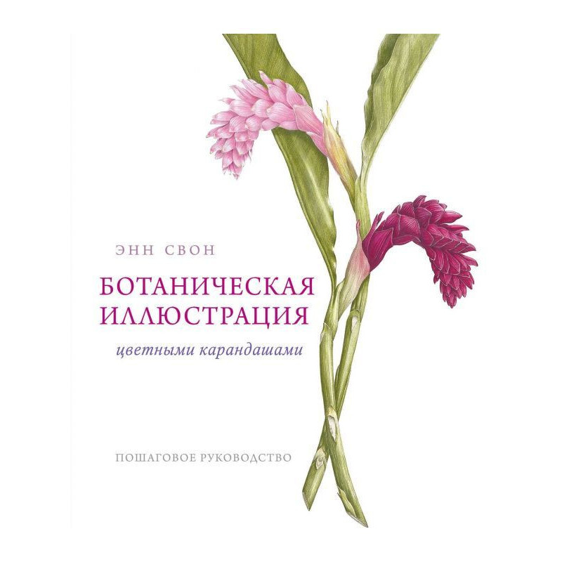 Ботаническая иллюстрация...