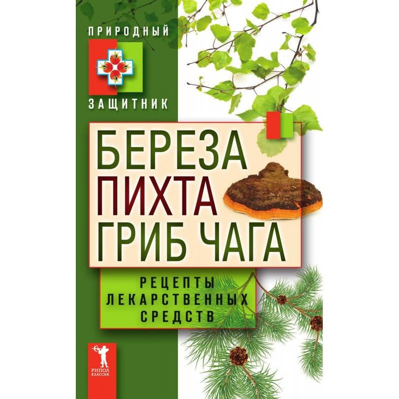 Береза, пихта, гриб чага....