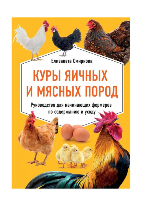 Куры of egg and meat breeds. Guidance for beginning farmers on maintenance and to the care