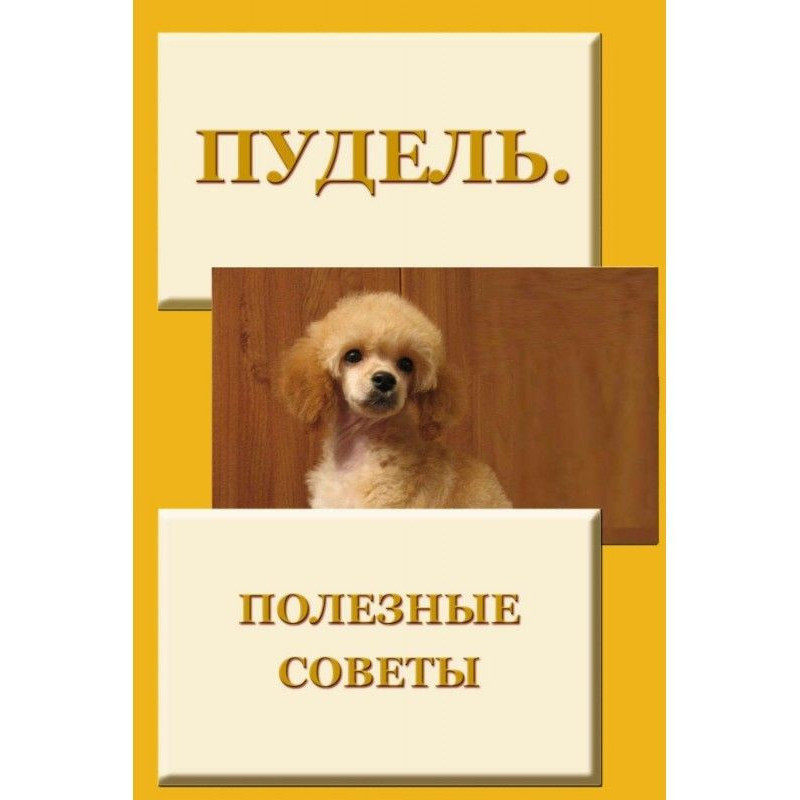 Пудель. Полезные советы