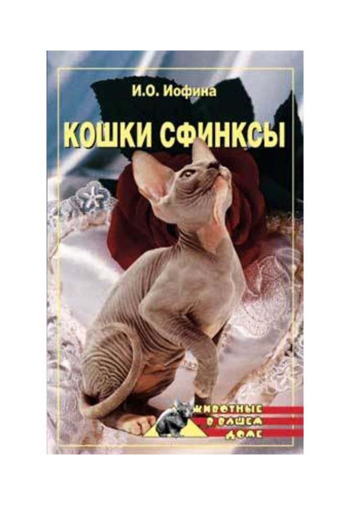 Кошки – сфинксы