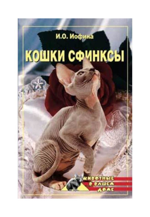 Кошки – сфинксы