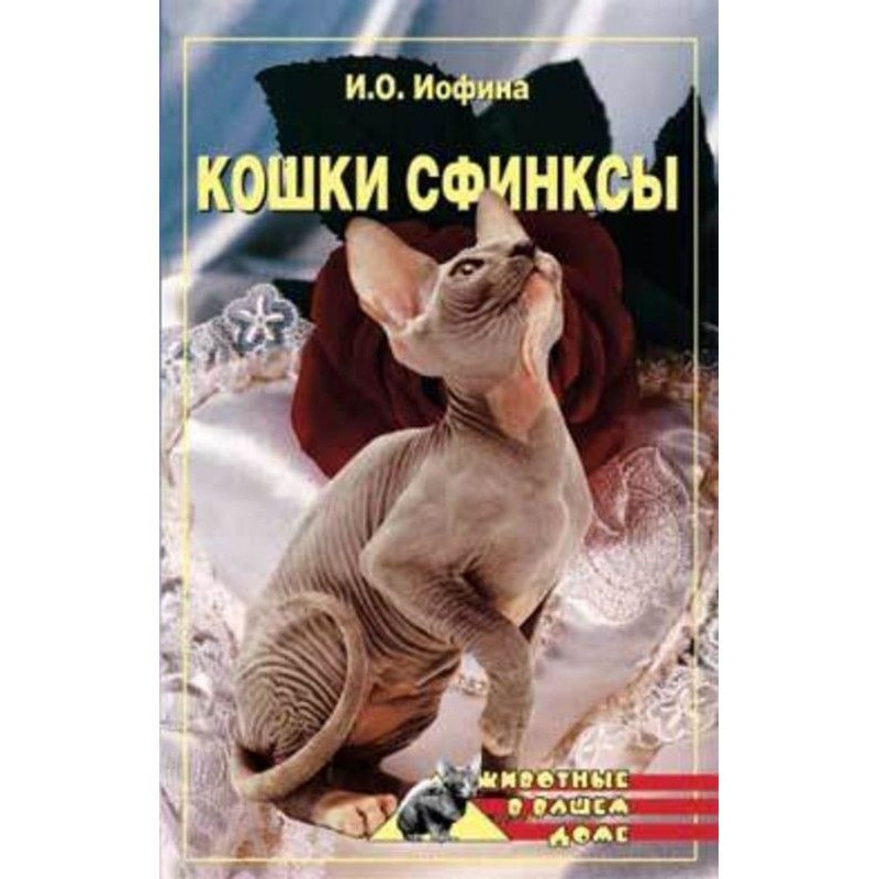 Кошки – сфинксы