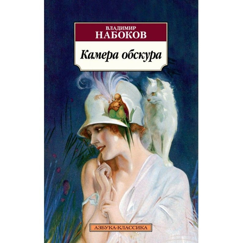 Камера обскура