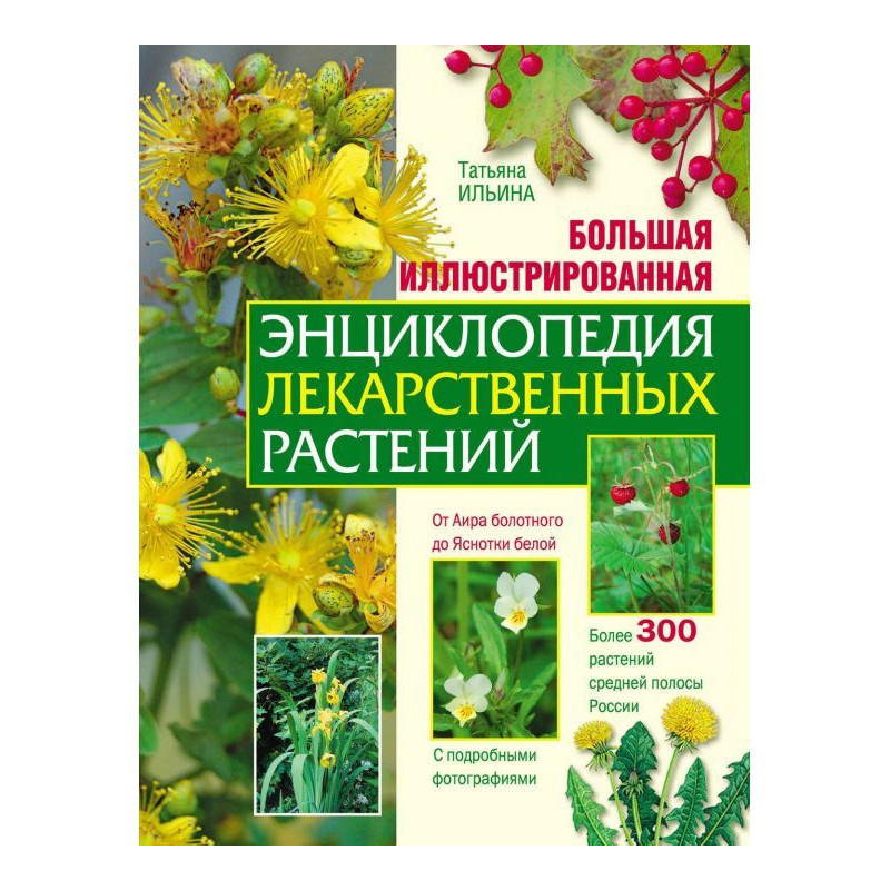 Большая иллюстрированная...
