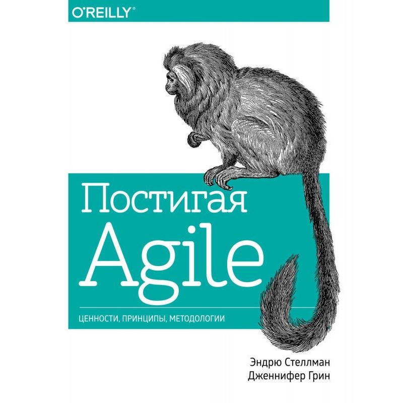 Постигая Agile