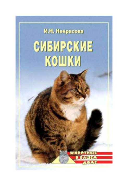 Сибирские кошки