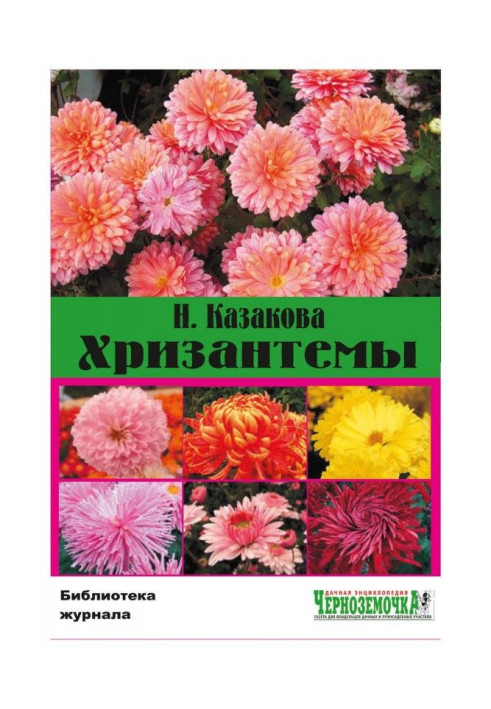 chrysanthemums