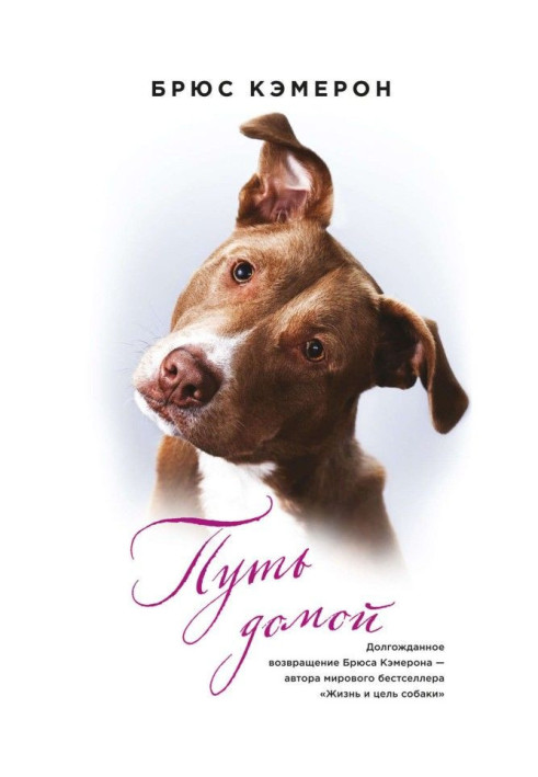 Путь домой