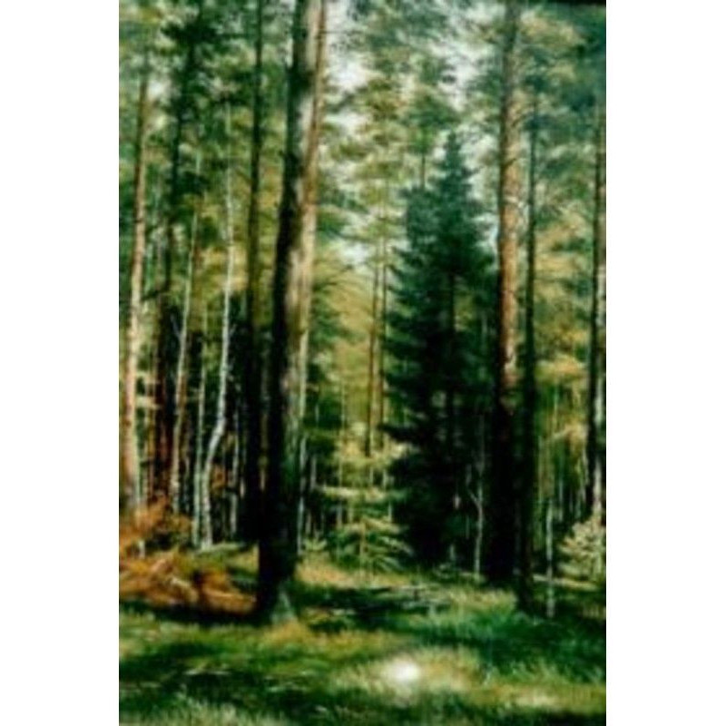 The forest is a bread-winner