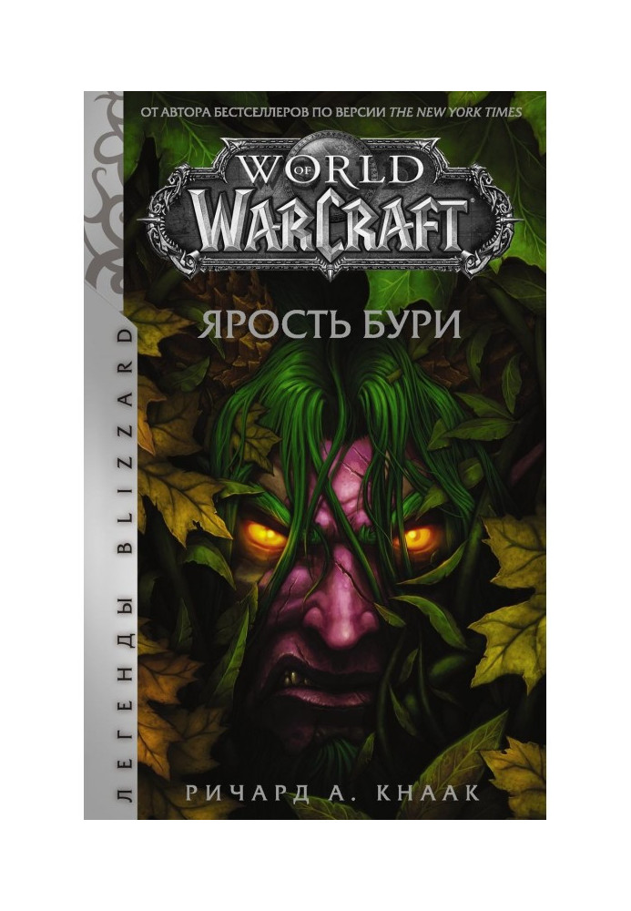 World of Warcraft. Ярость Бури