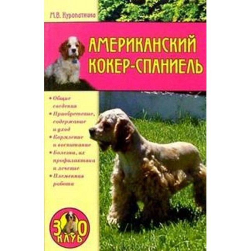 Американський кокер-спанієль