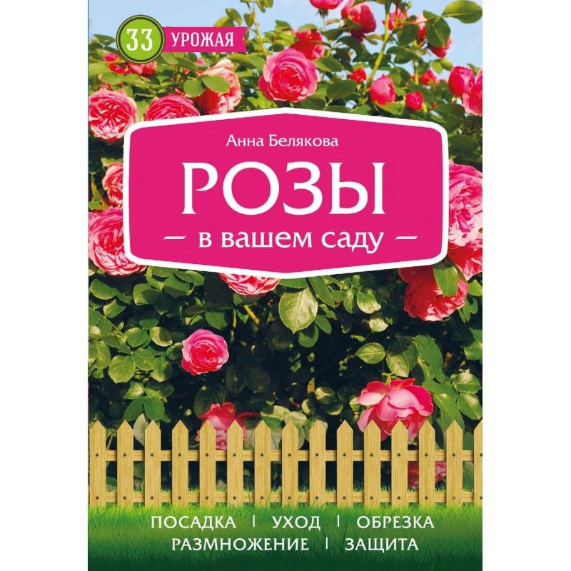 Roses are in your garden