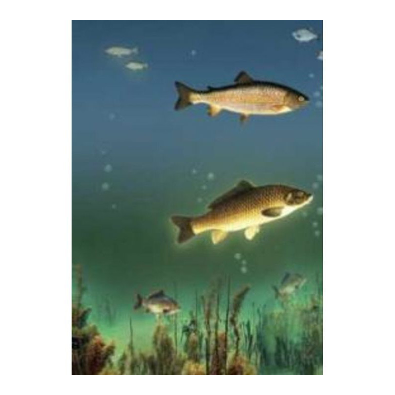 A reservoir is a bread-winner