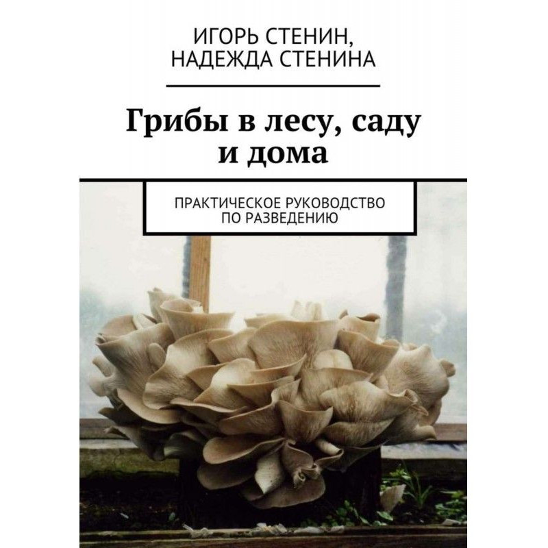 Грибы в лесу, саду и дома