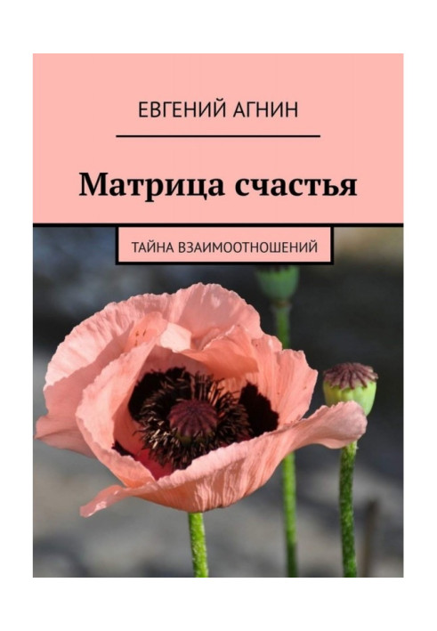 Матрица счастья. Тайна взаимоотношений