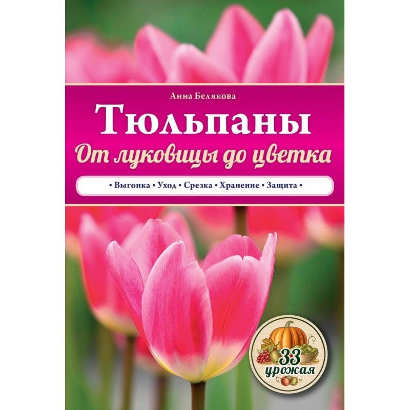 Tulips. From bulb to flower