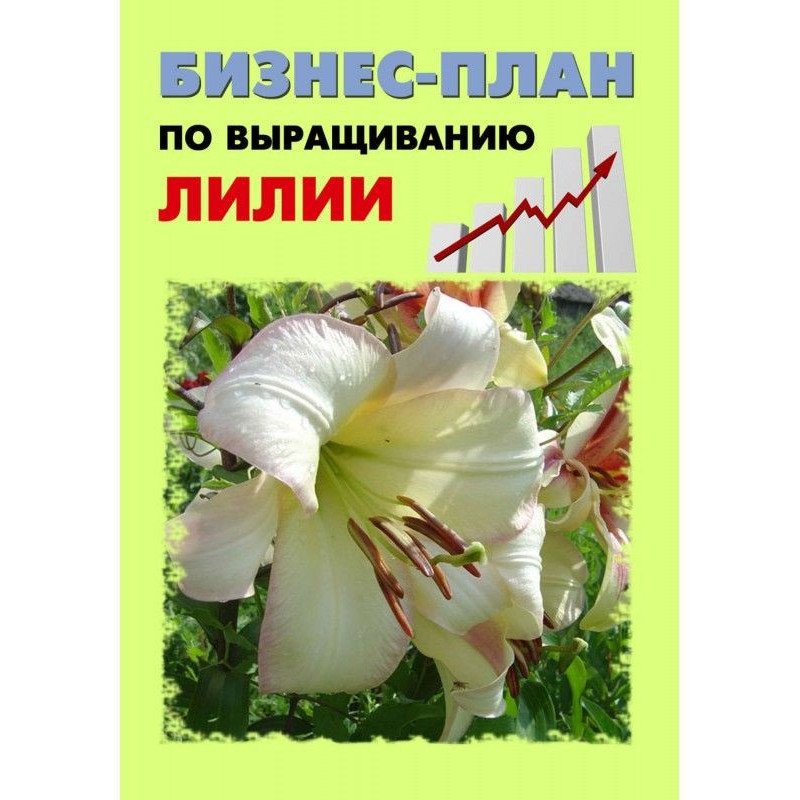 Бизнес-план по выращиванию...