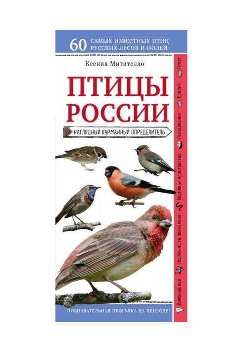 Птахи Росії. Наочний кишеньковий визначник