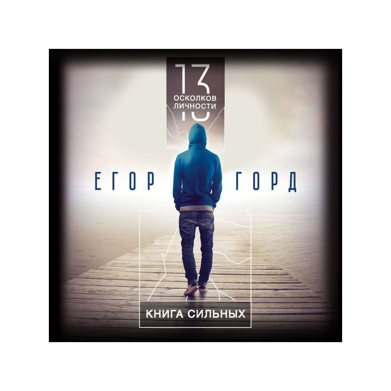 13 осколків особи. Книга...