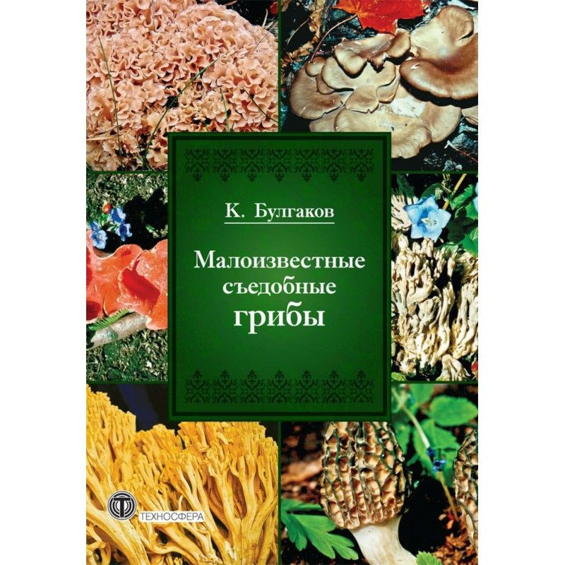 Not popular edible mushrooms