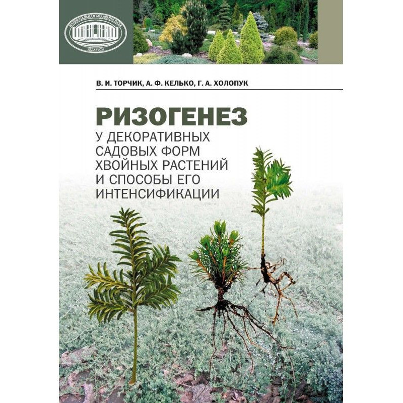 Ризогенез у декоративных...