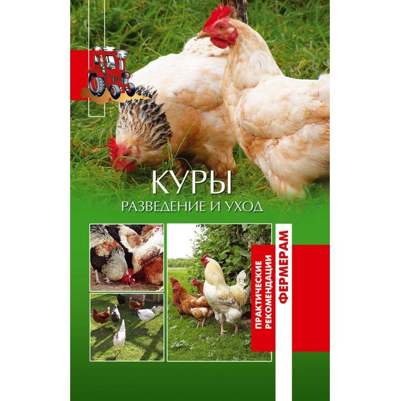 Куры. Разведение и уход