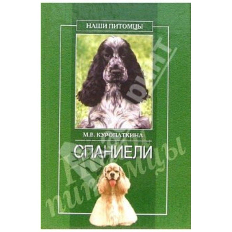 Spaniel
