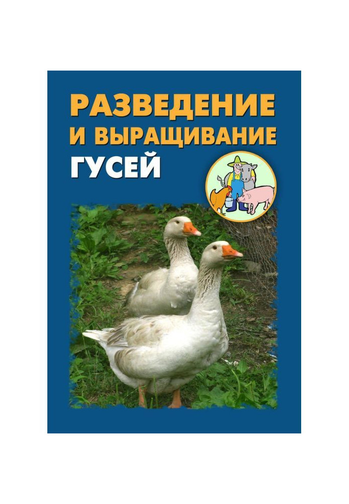 Breeding and growing of geese