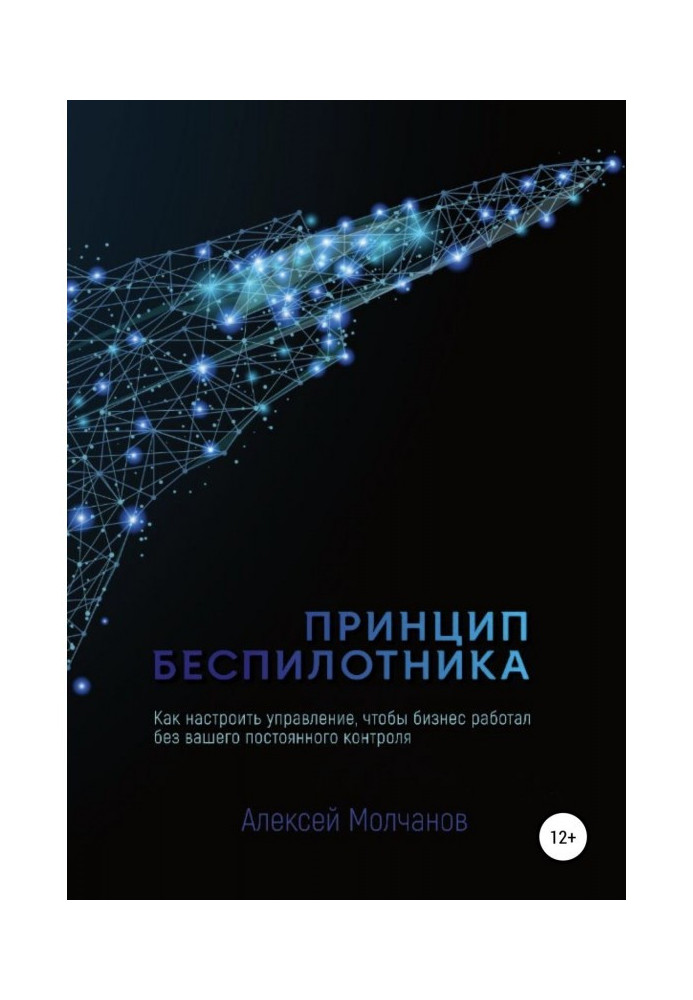 Принцип безпілотника, або Як налаштувати управління, щоб бізнес працював без постійного контролю