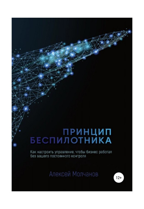 Принцип безпілотника, або Як налаштувати управління, щоб бізнес працював без постійного контролю