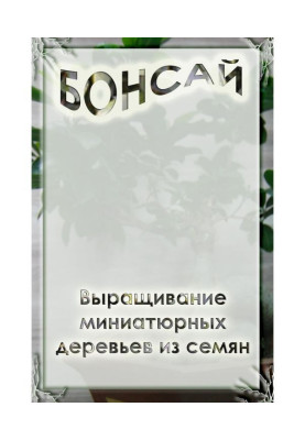 Вирощування мініатюрних дерев із насіння