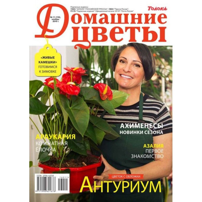Домашні Квіти 11-2016