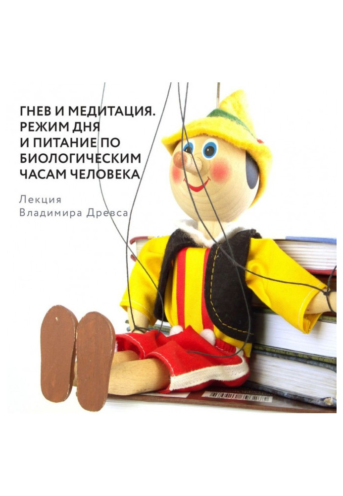 Гнів та медитація. Режим дня та харчування за біологічним годинником людини