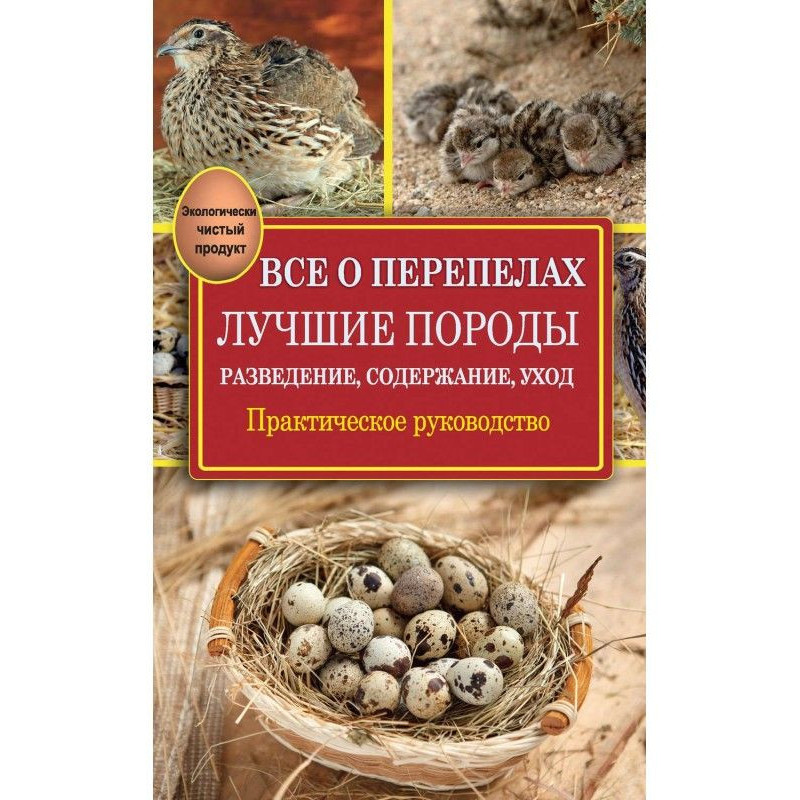 Все про перепелів. Кращі...