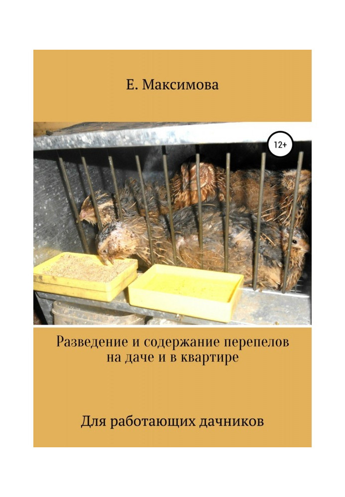 Разведение и содержание перепелов на даче и в квартире