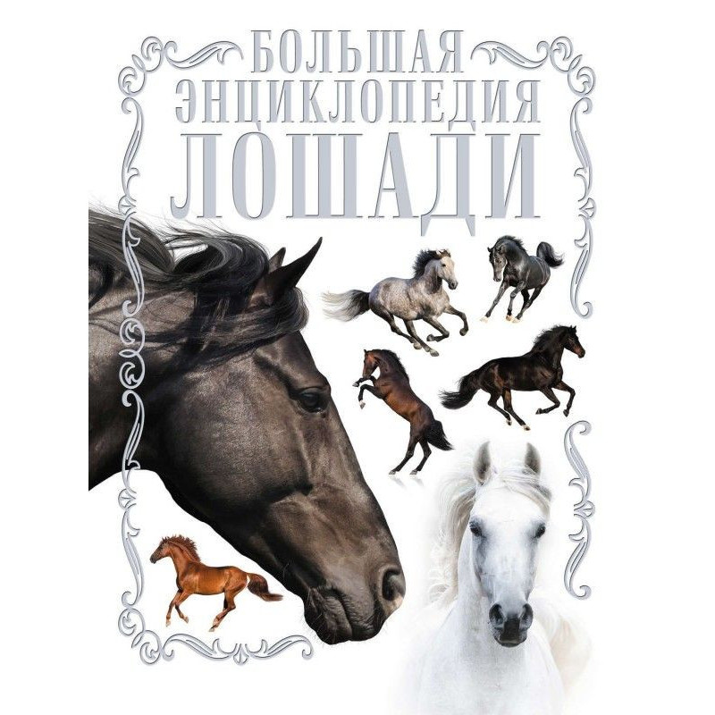 Коні. Велика енциклопедія