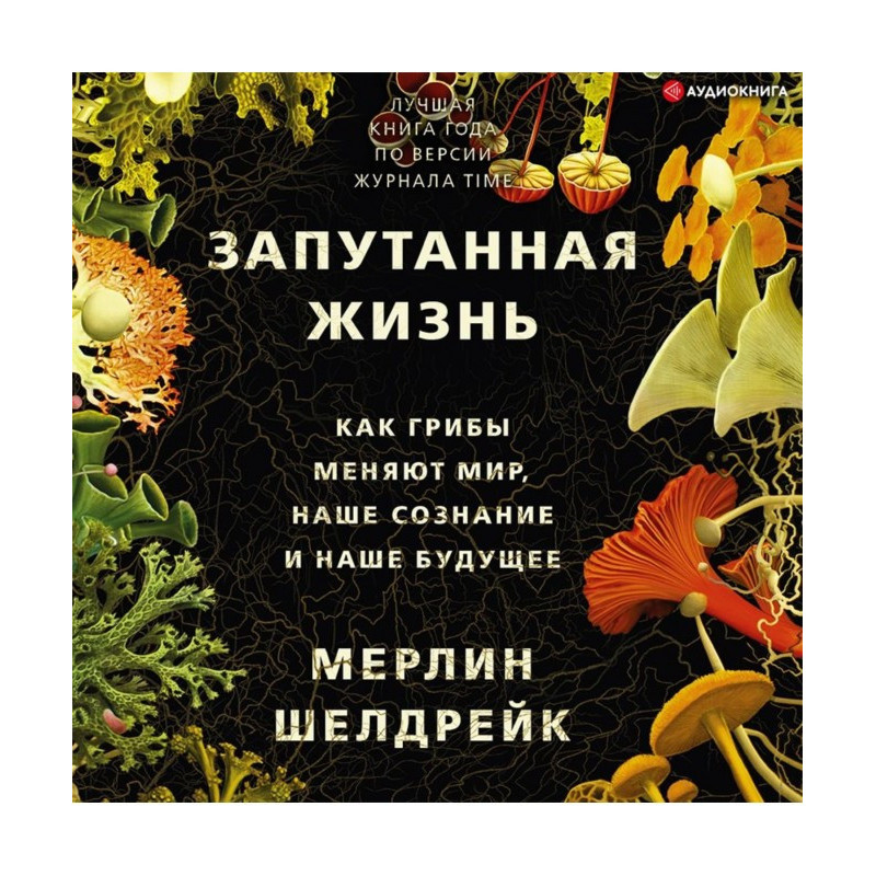 Заплутане життя. Як гриби...